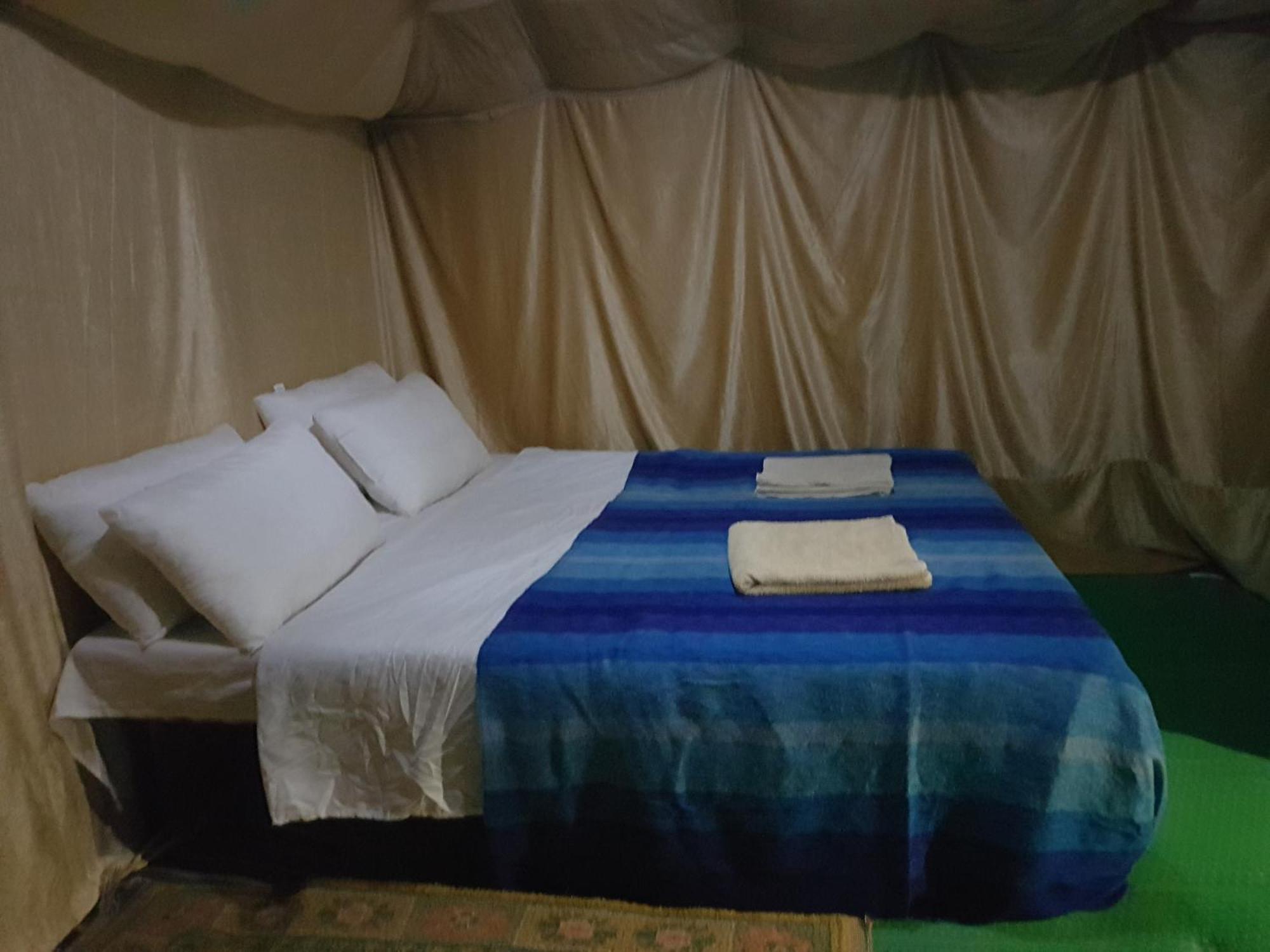 Dune Merzouga Camp Bilik gambar